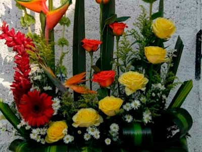 Floreria-Arely2