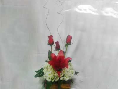 bodega-de-flores2