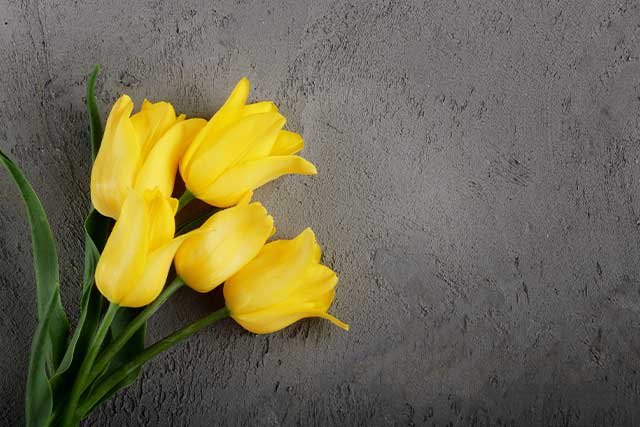 flor-amarilla2
