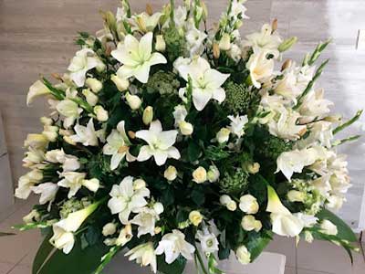 flor-y-canto2