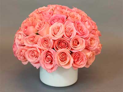 flordeco.com3