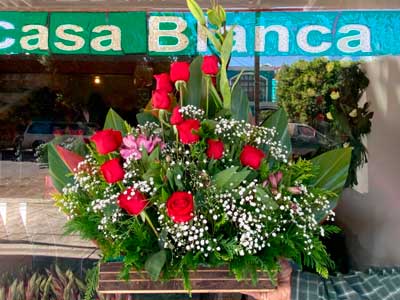 floreria-casa-blanca2