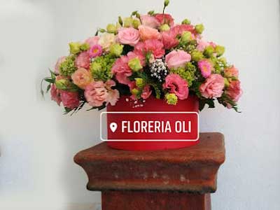 floreria-oli3