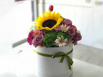 floreria-regalos-martha4