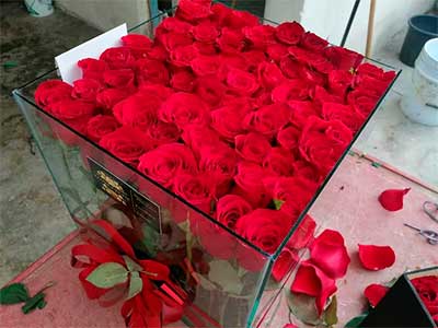 flores-tepic3