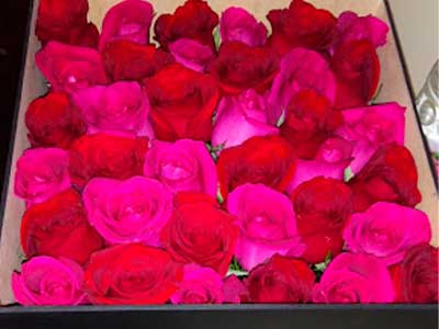 flores-tepic4