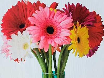 florinay2
