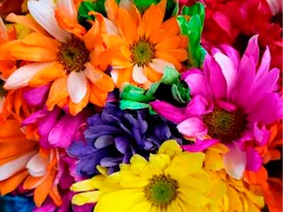 florinay3
