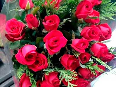 florinay4