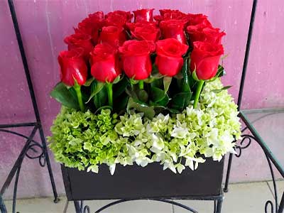 freesia-floristeria2