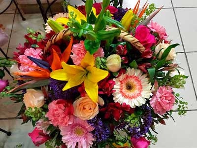 freesia-floristeria4