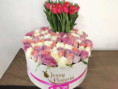jessy-floreria3