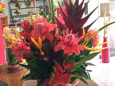 las-flores-de-estela1