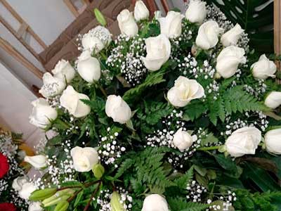 palacio-floral1