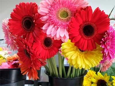 spring-floreria-apodaca1